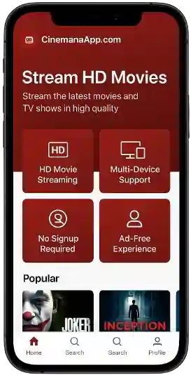 شباکتی سینما